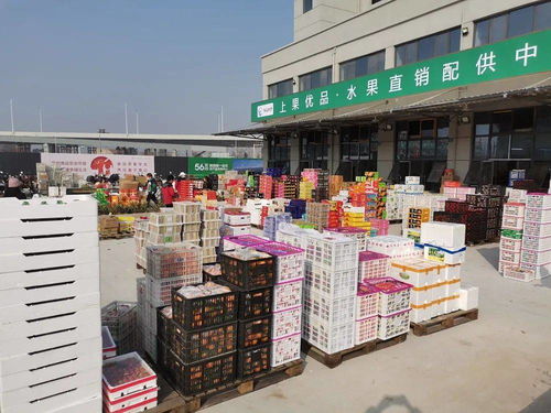 海吉星農(nóng)產(chǎn)品物流園盛大開業(yè) 安慶“菜籃子”升級，農(nóng)產(chǎn)品流通邁入新時代